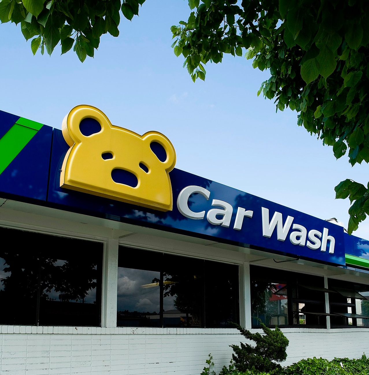 buddy bear car wash